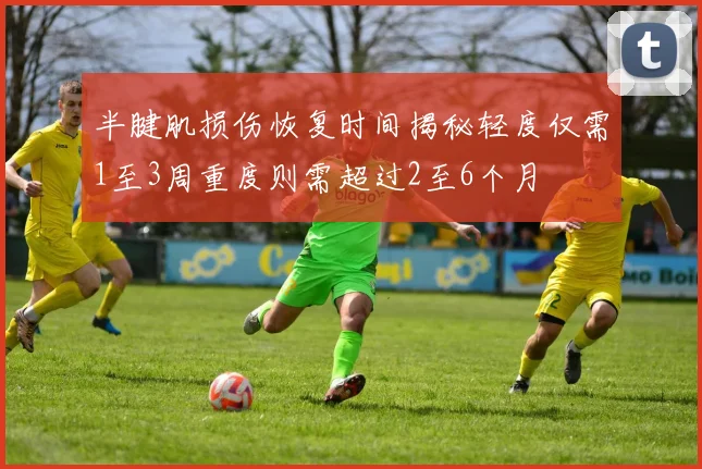 半腱肌损伤恢复时间揭秘轻度仅需1至3周重度则需超过2至6个月